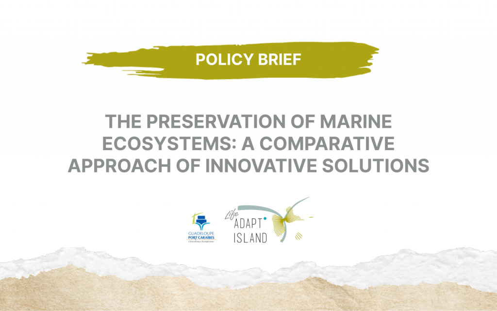 Policy brief – THE PRESERVATION OF MARINE ECOSYSTEMS: A COMPARATIVE APPROACH OF INNOVATIVE SOLUTIONS