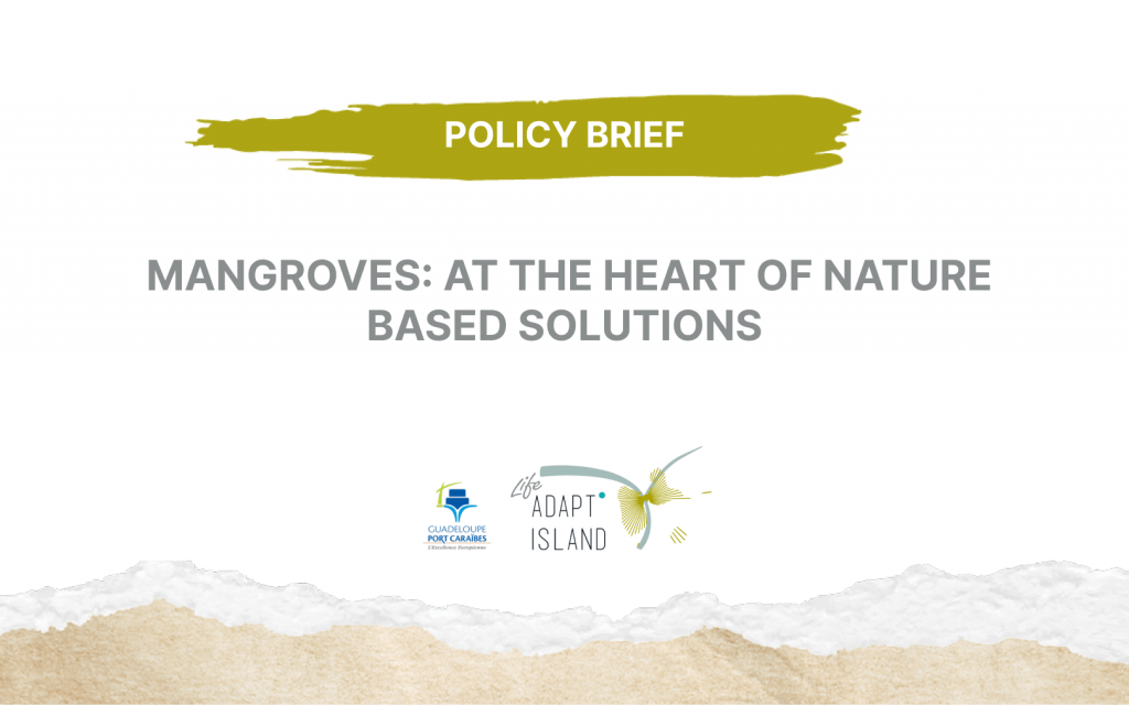 POLICY BRIEF :  MANGROVES: AT THE HEART OF NATURE BASED SOLUTIONS