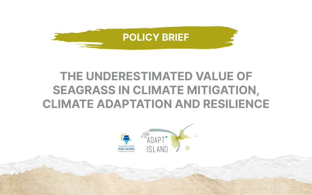 POLICY BRIEF : THE UNDERESTIMATED VALUE OF SEAGRASS IN CLIMATE MITIGATION, CLIMATE ADAPTATION AND RESILIENCE