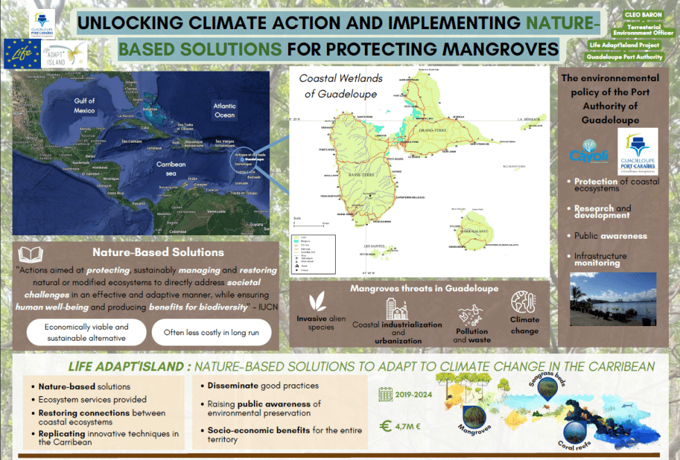 International conference on mangroves MMM6 - Life Adapt Island - Cáyoli