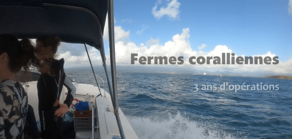 Les fermes coralliennes du Grand Port Maritime de la Guadeloupe (GPMG)