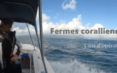 Les fermes coralliennes du Grand Port Maritime de la Guadeloupe (GPMG)